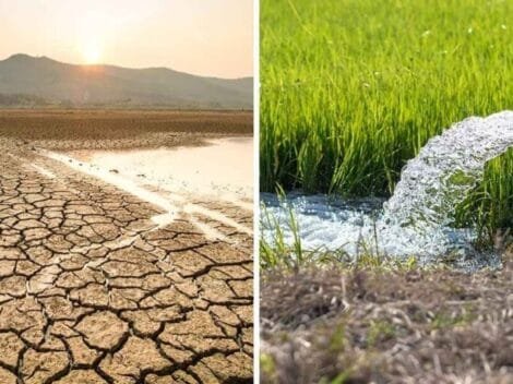 Agua, Biodiversidad y Clima