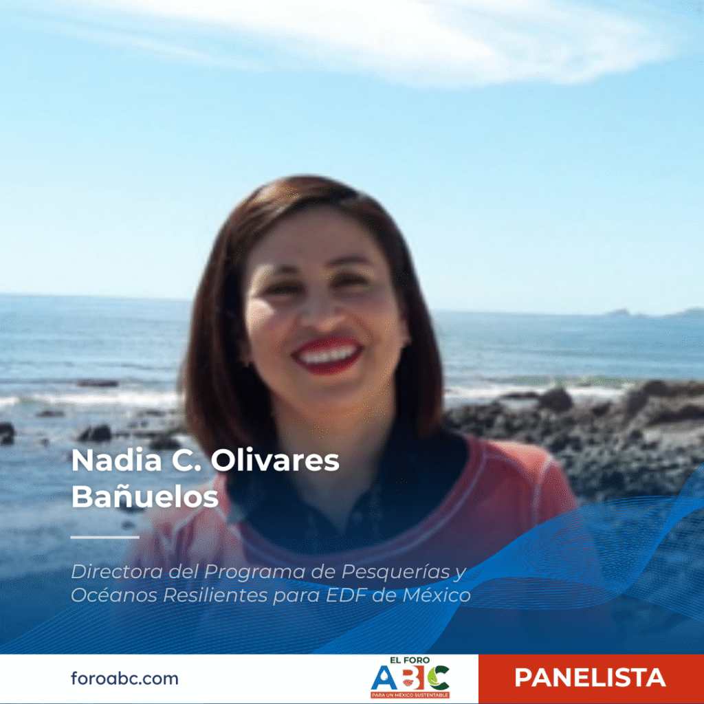 Nadia C. Olivares