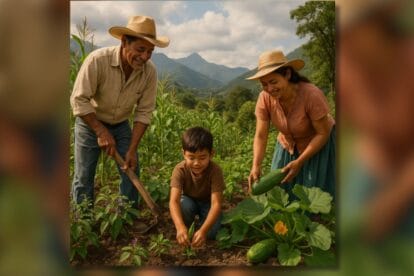 SOLUCIONES VERDES