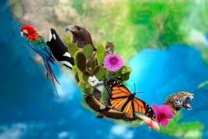 países megadiversos